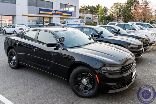 Miami Police Charger AntlopMiami